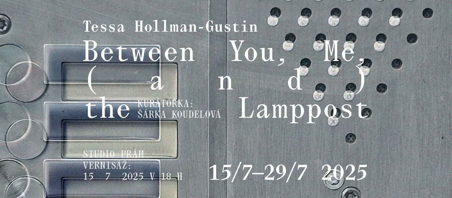 Tessa Hollman-Gustin: Between You, Me, (and) the Lamppost