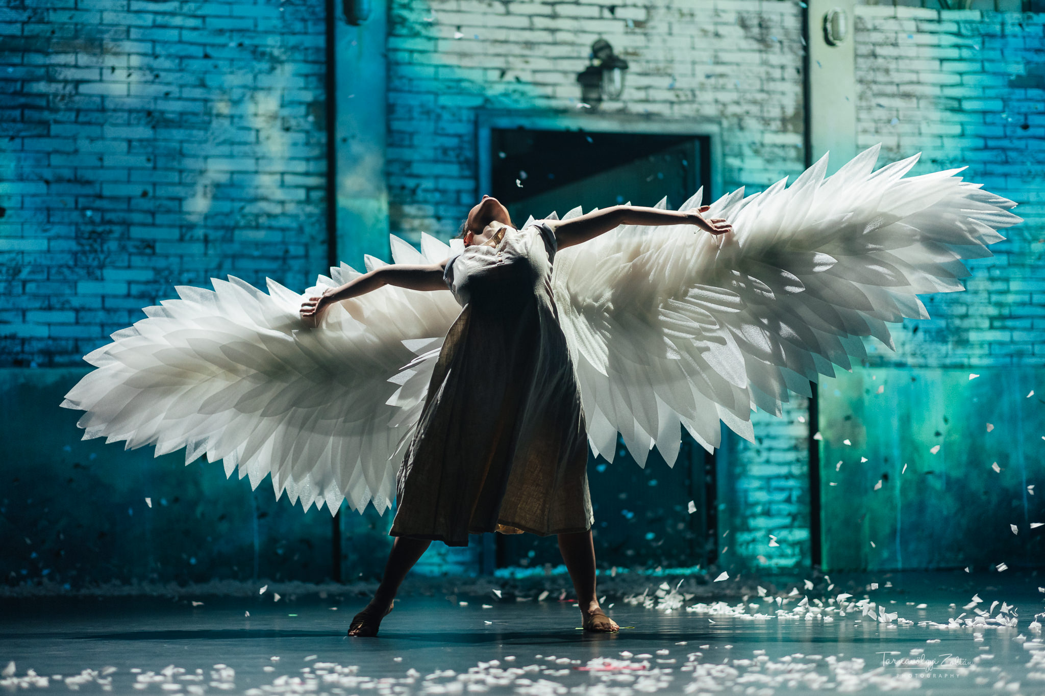 BLACK SWAN