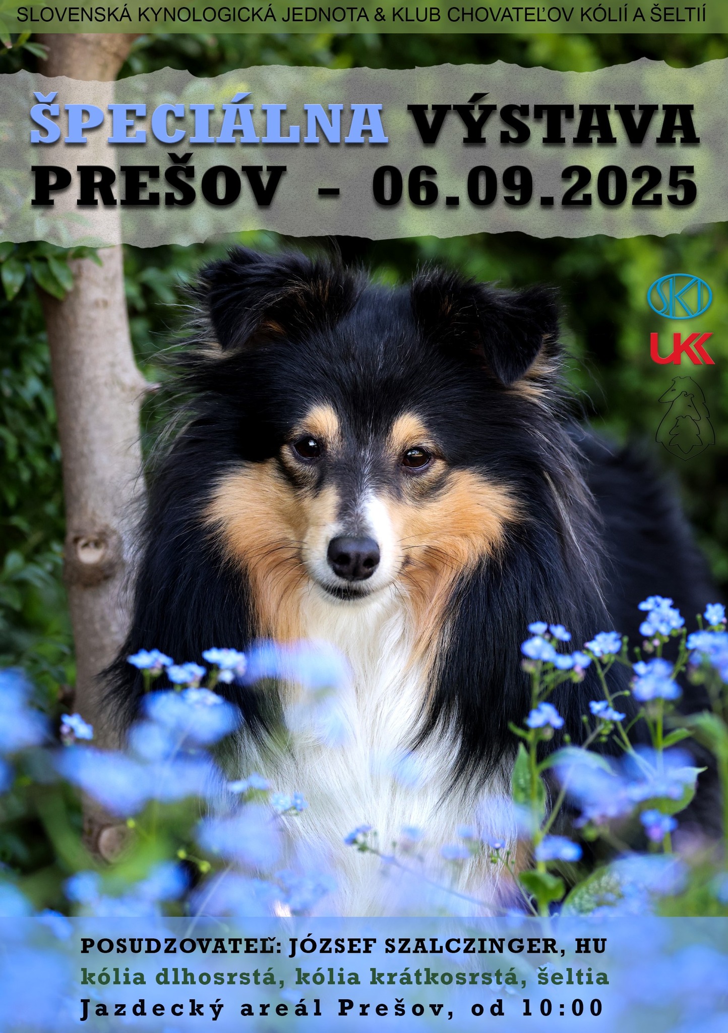 Výstava kólií a šeltií