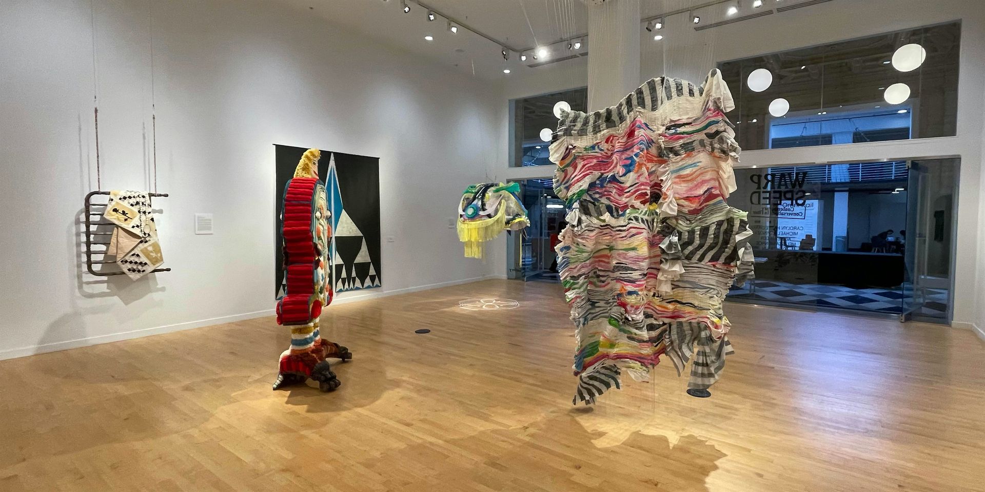 Warp Speed : Contemporary Conversations in Fiber