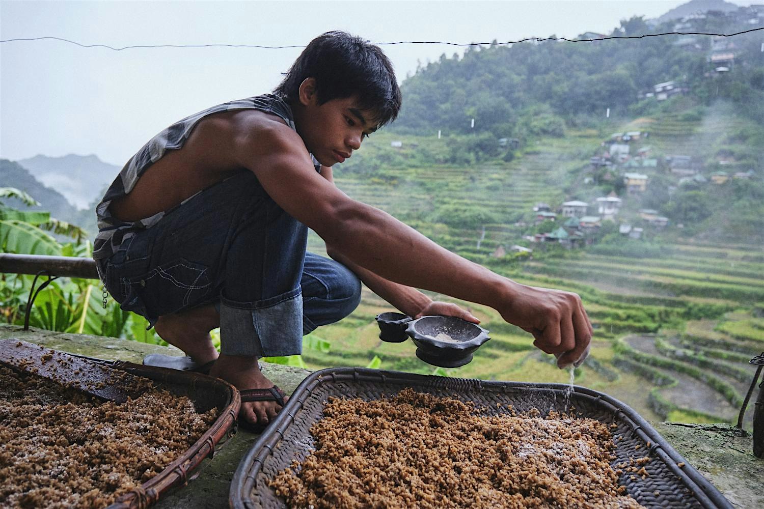 Rice and Ritual: A Photo Exhibit and Benefit for Batad's Terraces