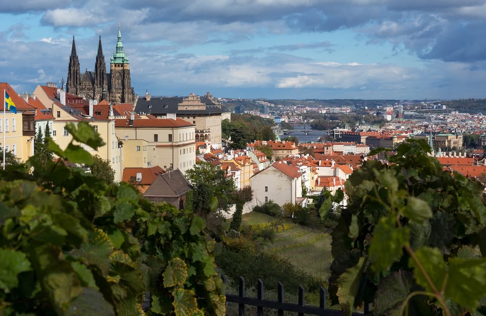 🍷 Szlakiem win – Willa Richter | Degustacja i panorama Pragi