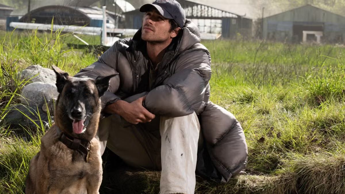 ‘The Dog Stars’ on Friday 28.8 at 17.30h at Kino Lucerna