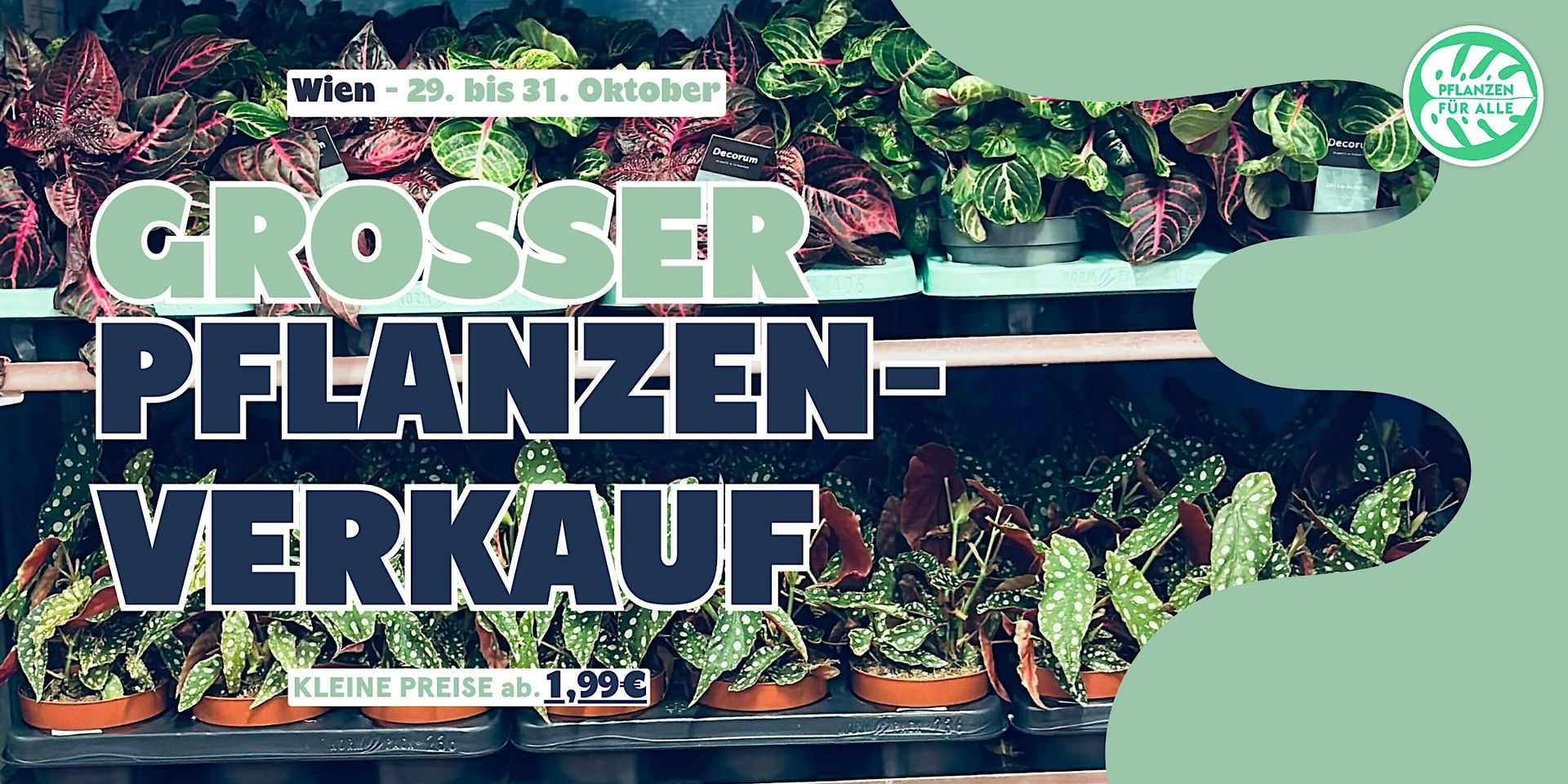 Großer Pflanzenverkauf - Wien