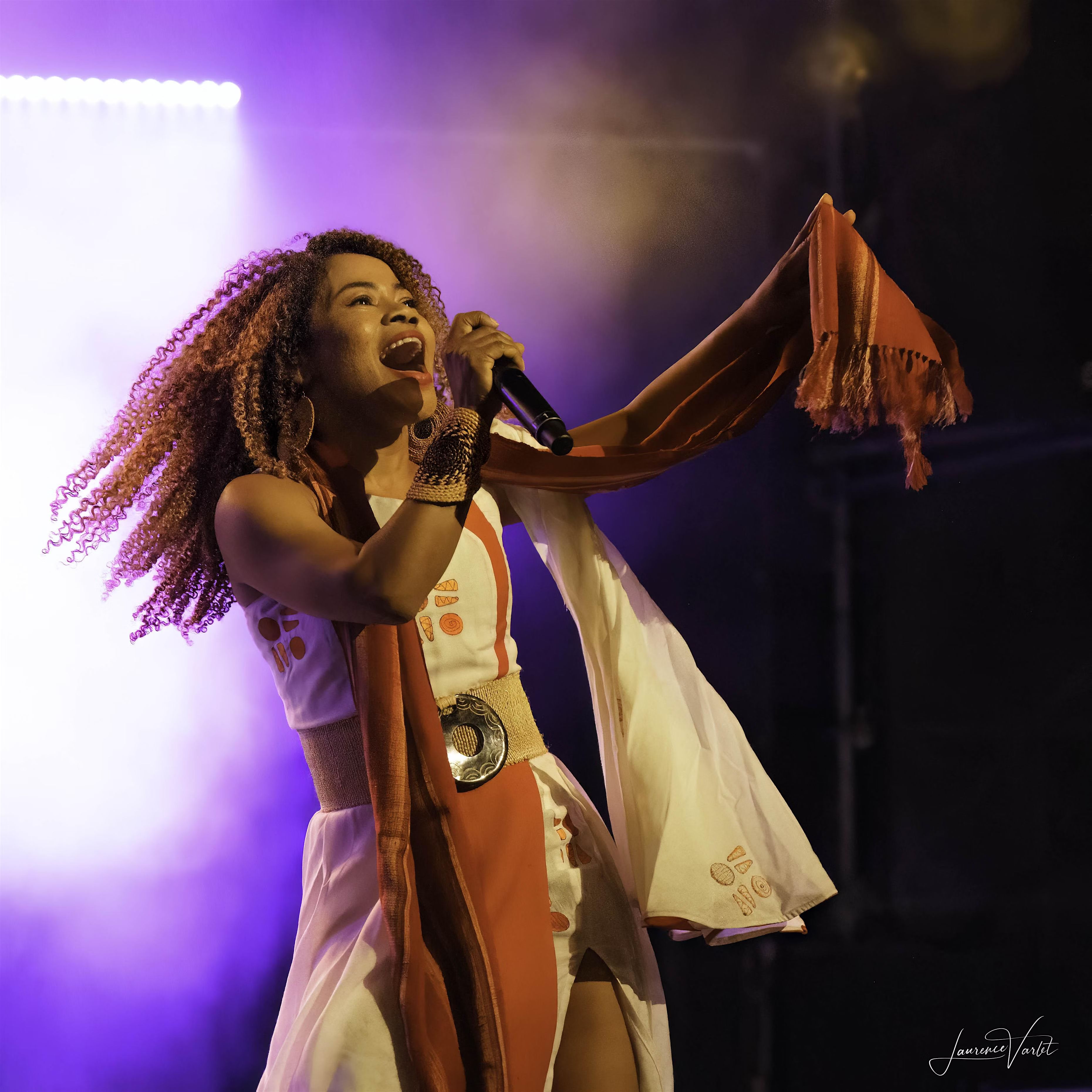 Grand concert de la francophonie