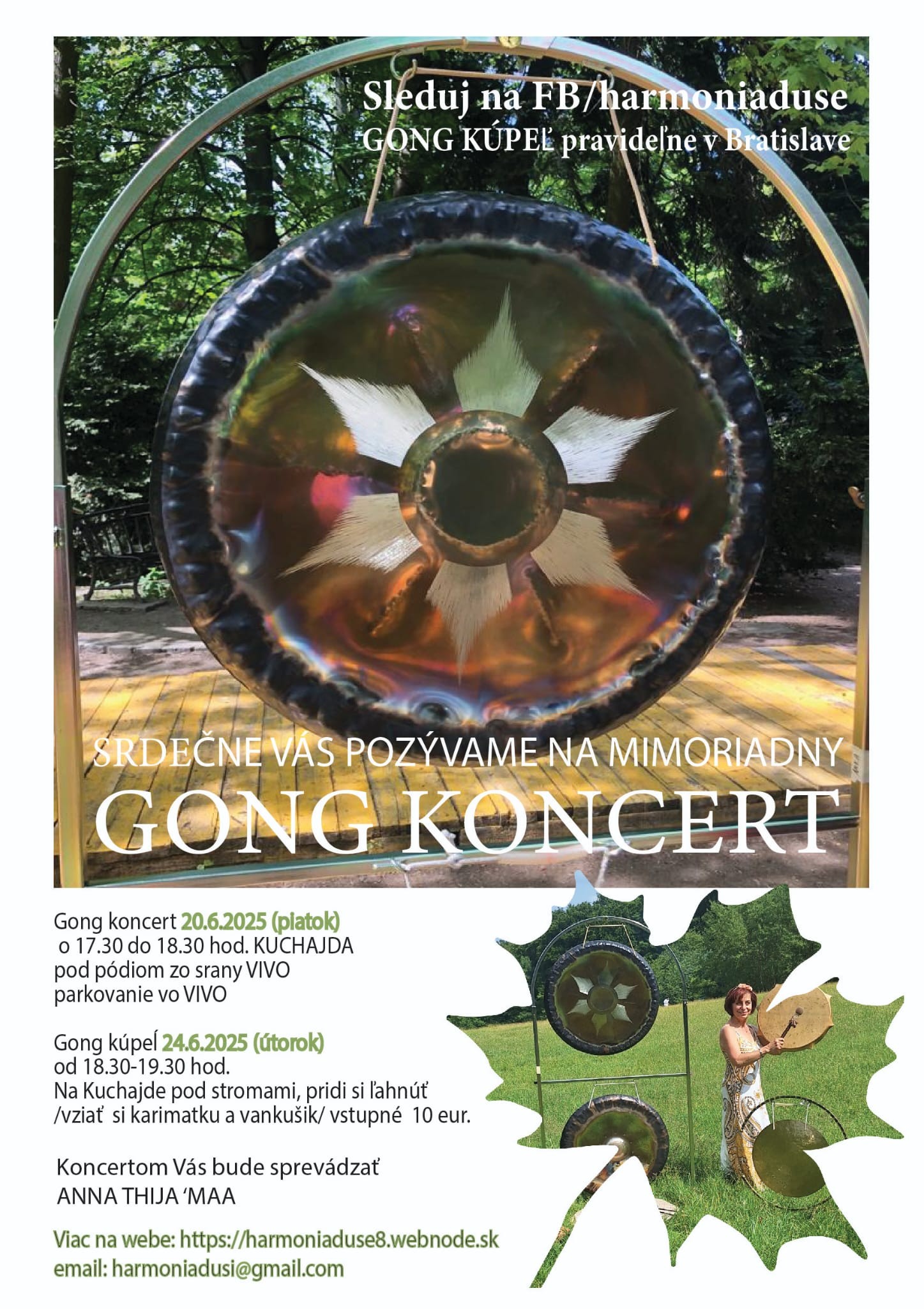 Gong koncert