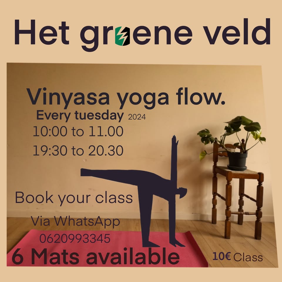 vinyasa yoga flow all levels