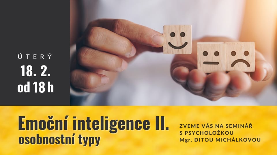 Emoční inteligence II. osobnostní typy
