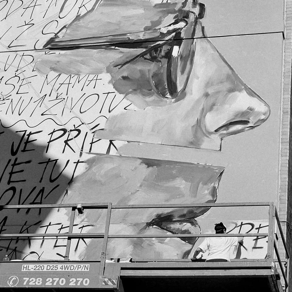 Toy Box streetart tour