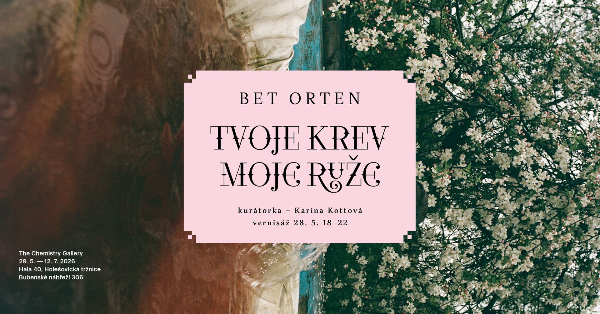 Vernisáž výstavy Bet Orten: TVOJE KREV / MOJE RŮŽE