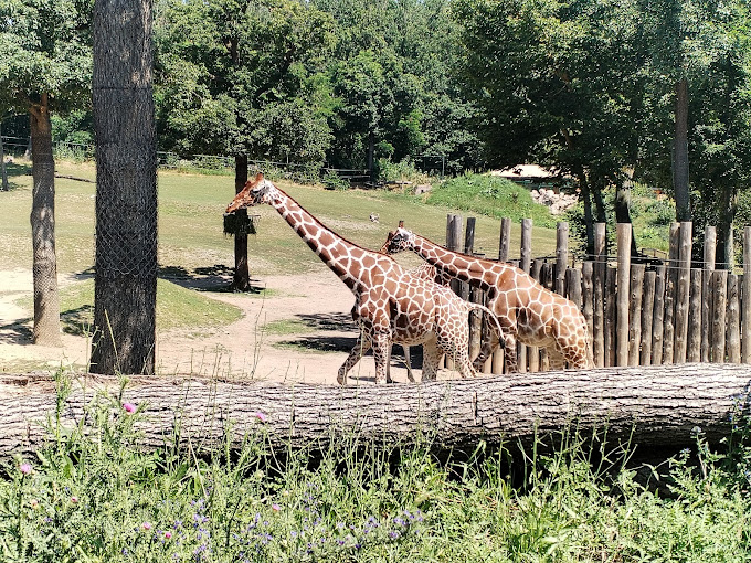 Brno Zoo