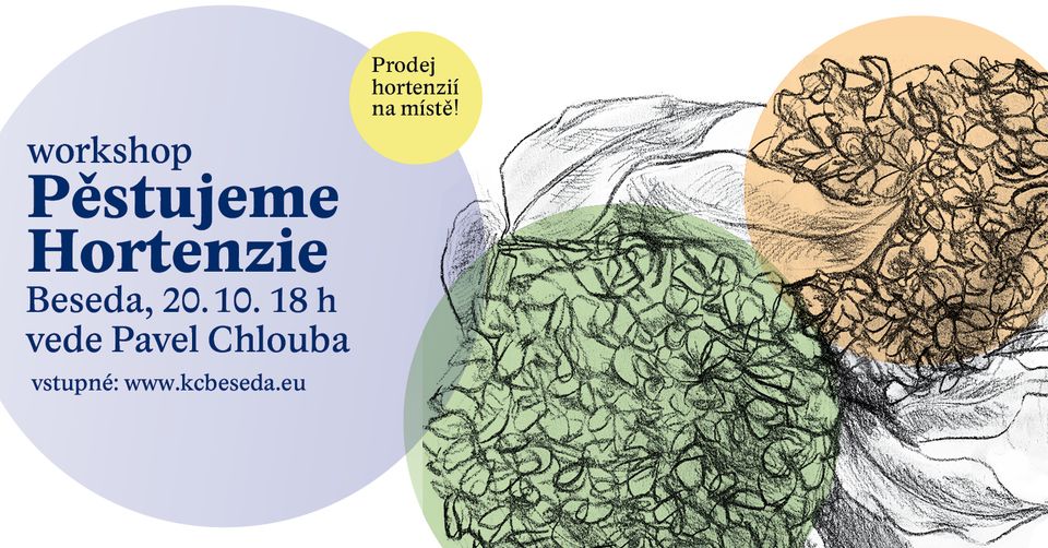 Pěstujeme HORTENZIE - workshop s PAVLEM CHLOUBOU