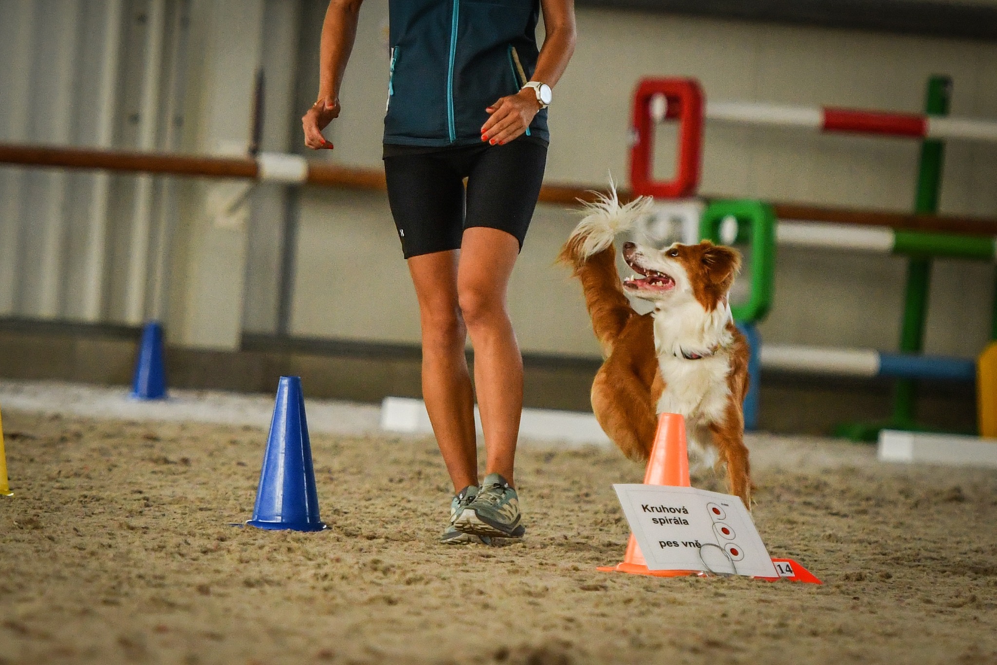 Intenzivka: Rally obedience Říčany