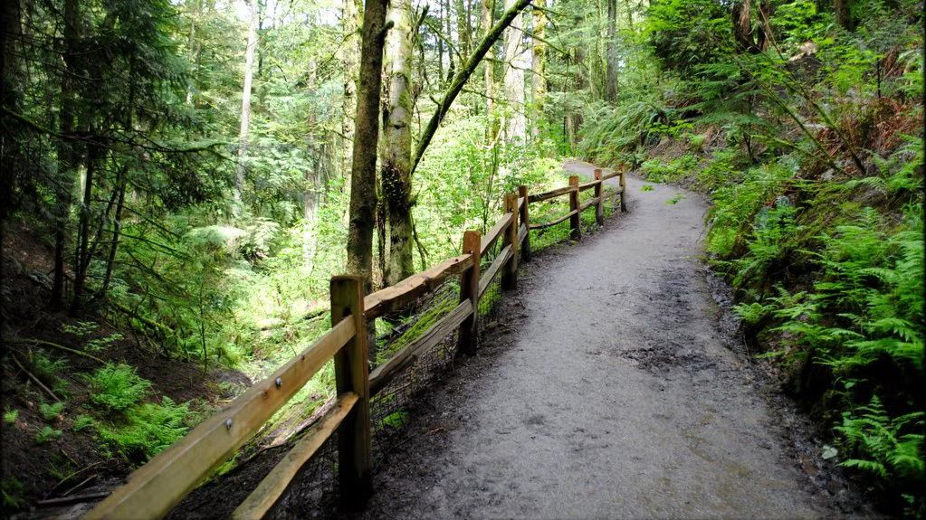 Advance Hikers' Hike: Entire Wildwood Trail