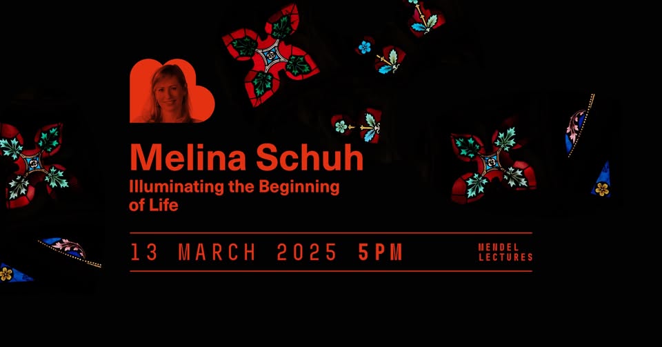 Melina Schuch - Illuminating the Beginning of Life