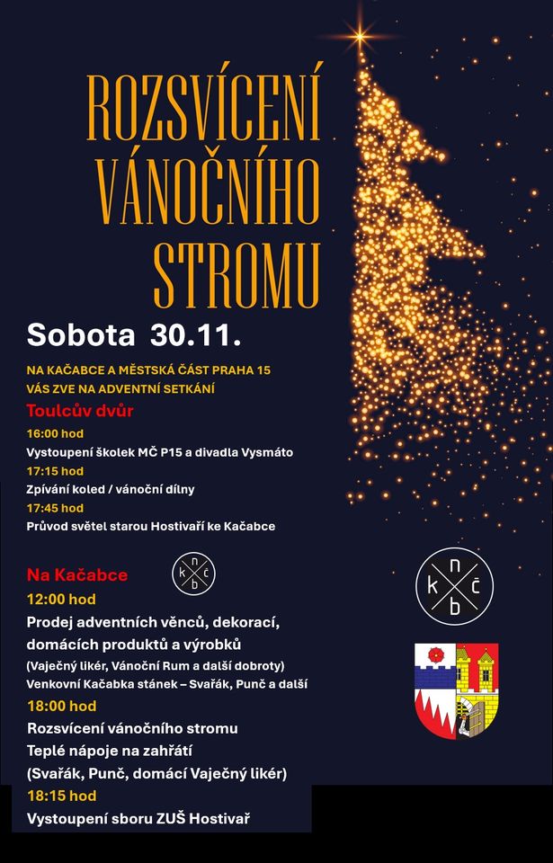 ROZSVÍCENÍ VÁNOČNÍHO STROMKU