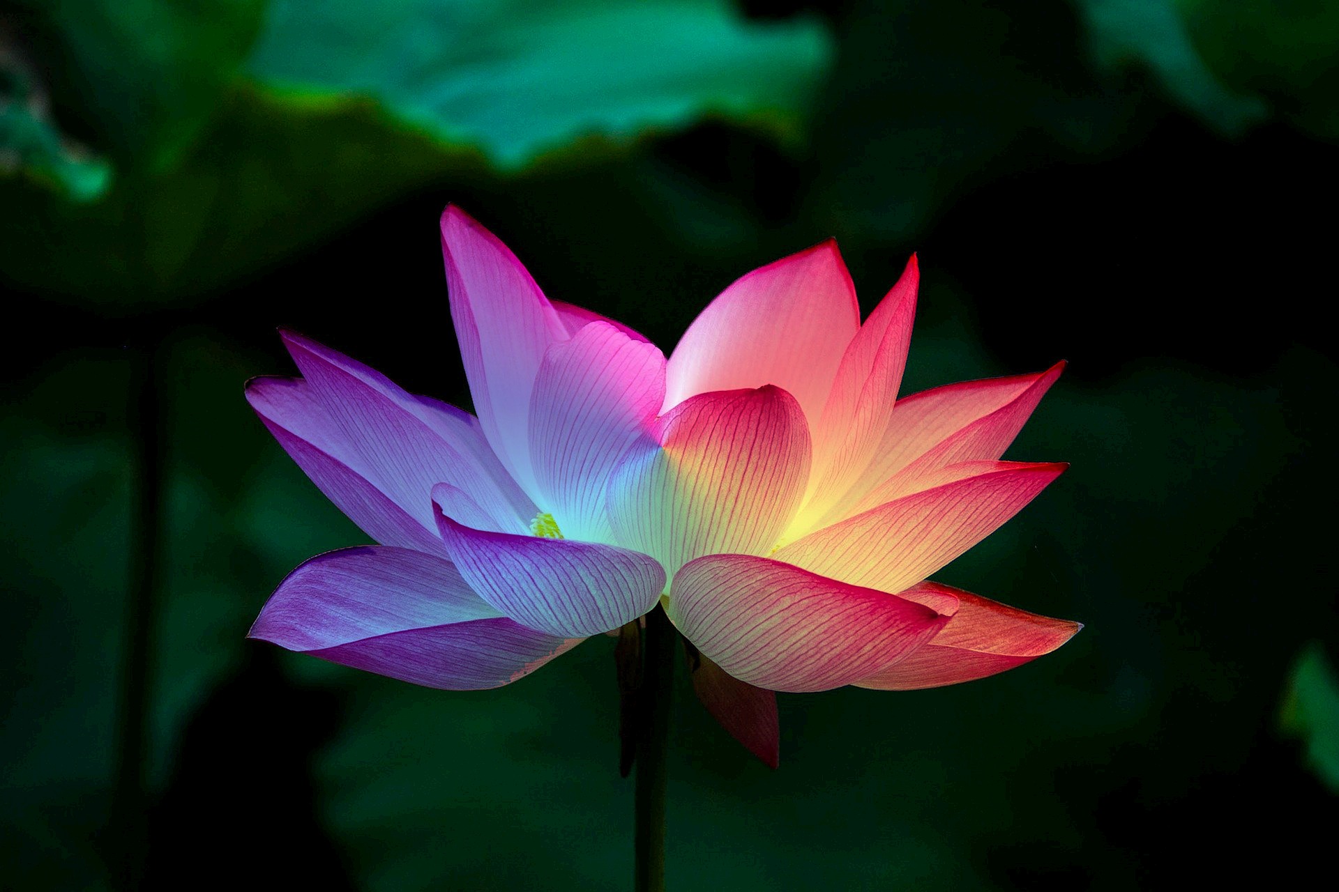 Meditace Kundalini Archetypes