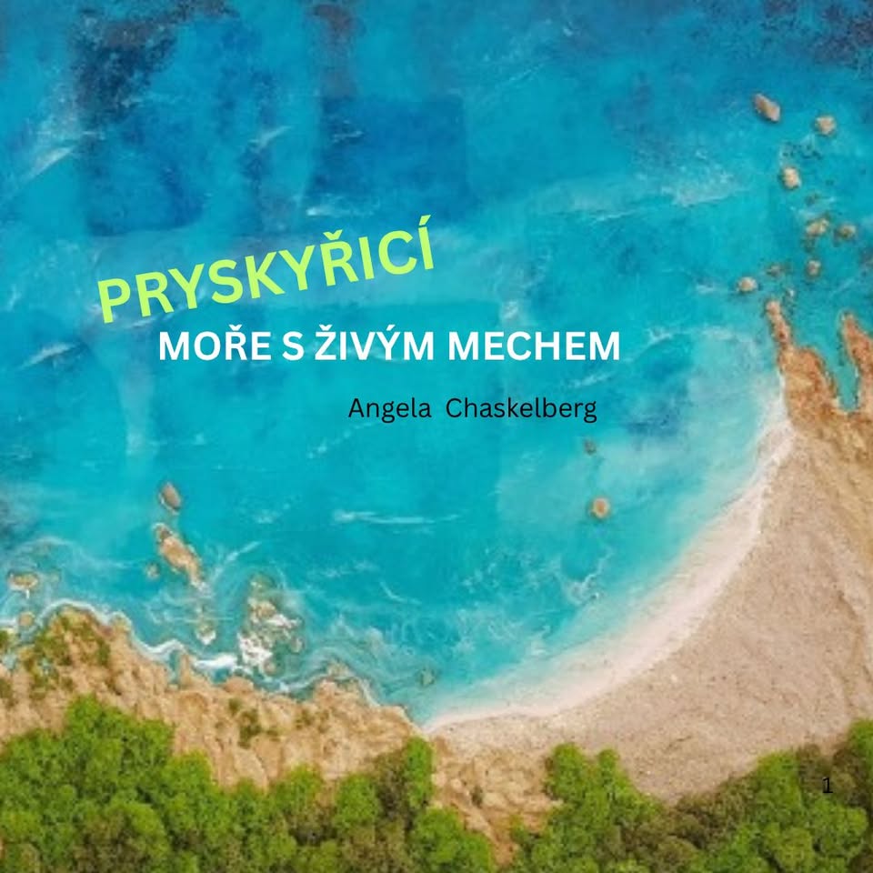 Obraz moře s živým mechem pryskyřicí