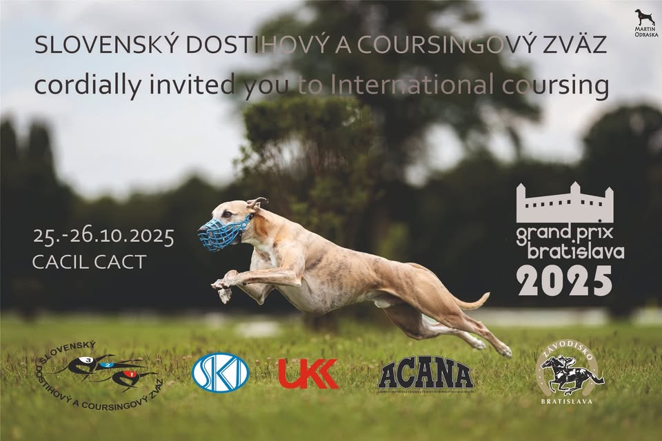 GRAND PRIX BRATISLAVA 2025
