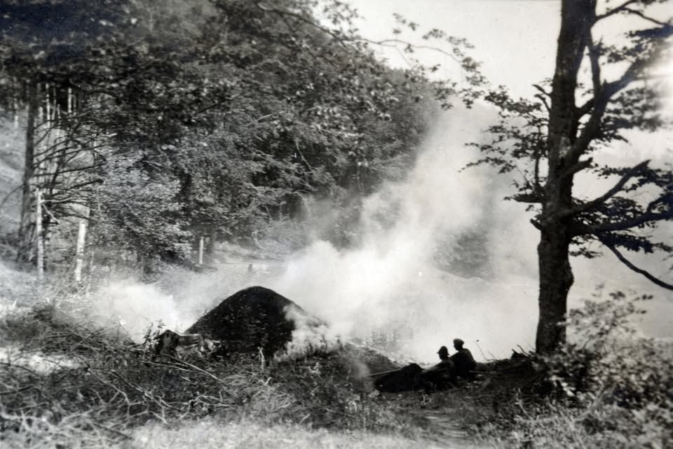 Vegetation and charcoal burning
