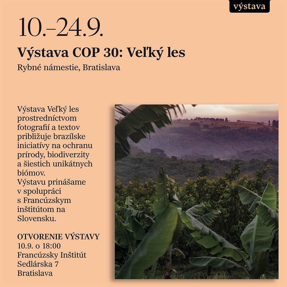 Výstava COP 30: Vel'ký les