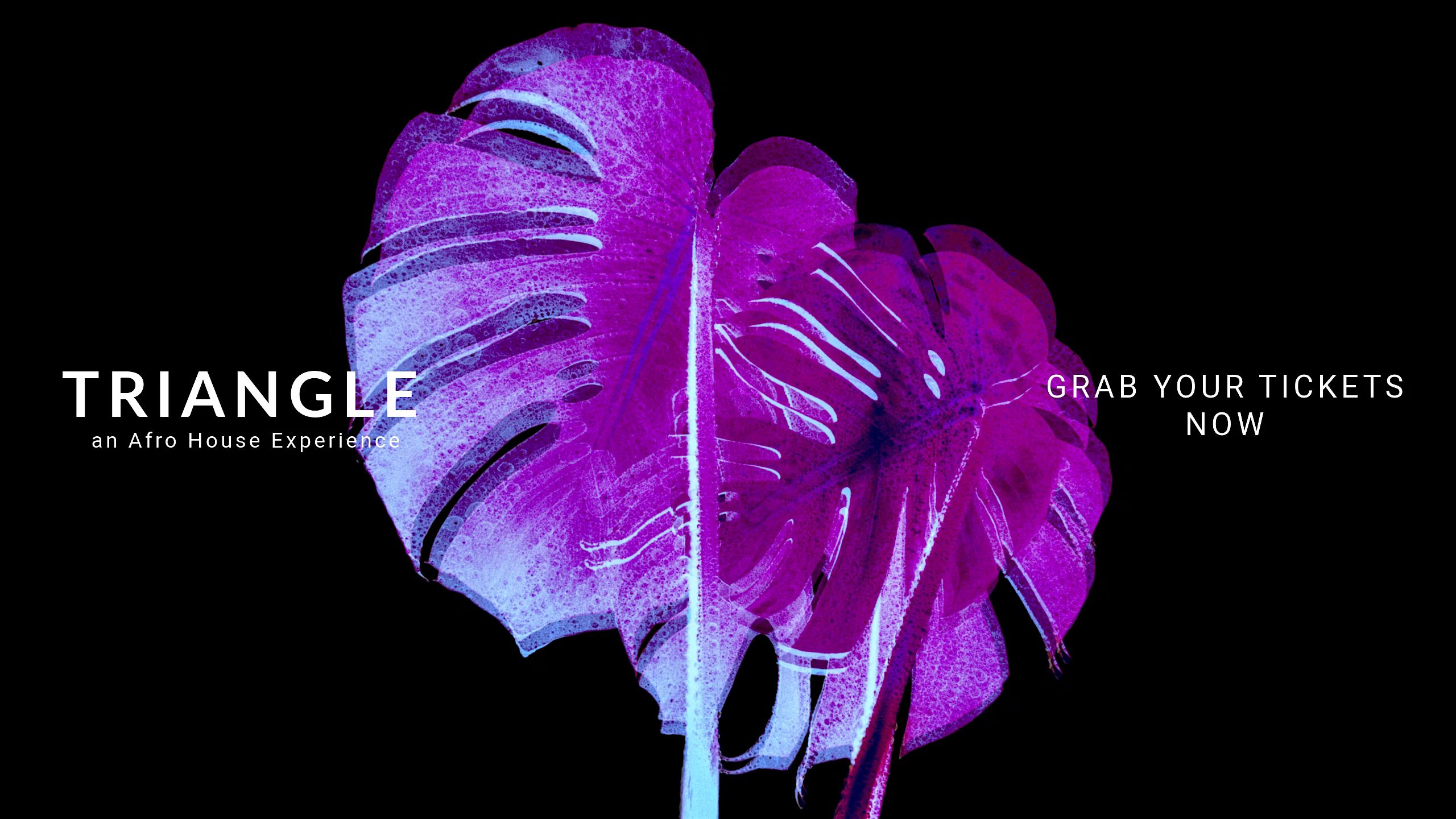 TRIANGLE: an Afro House Experience