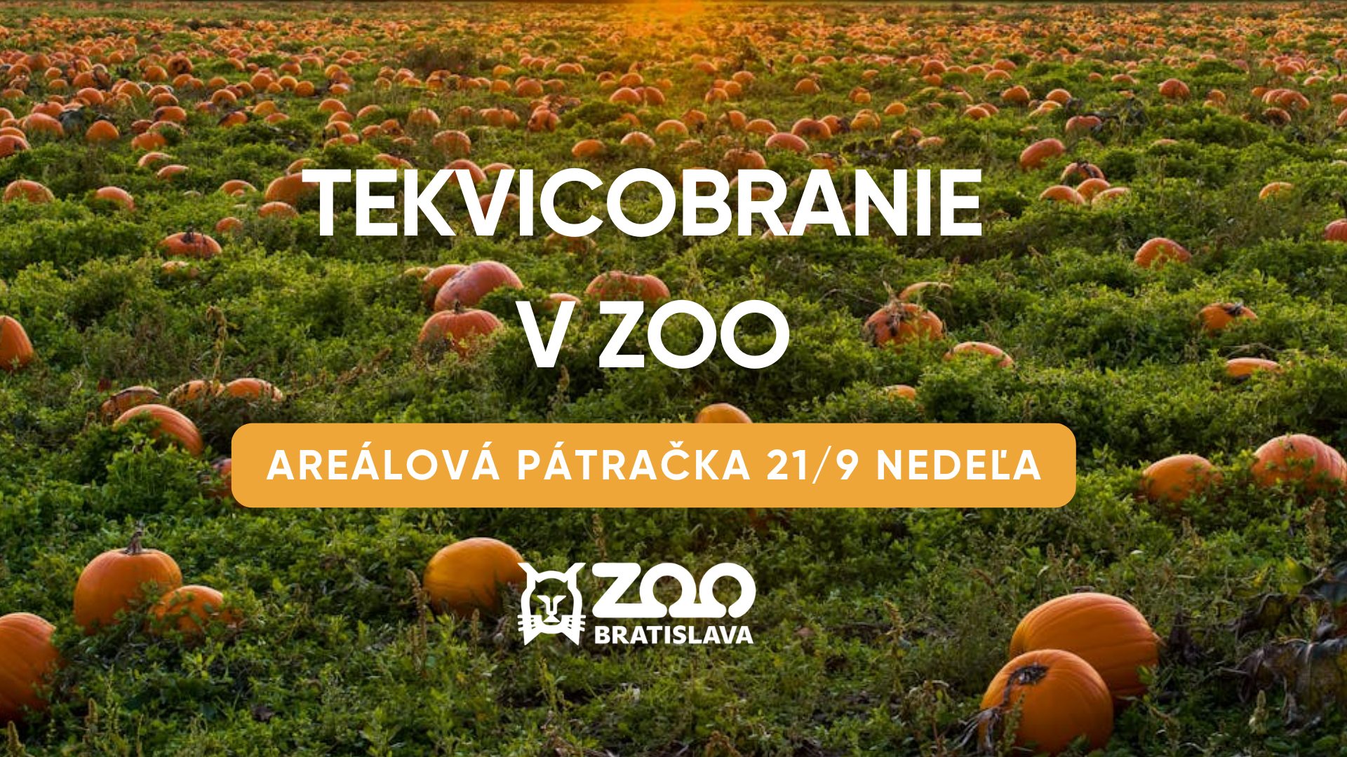 🎃 TEKVICOBRANIE v zoo 🎃
