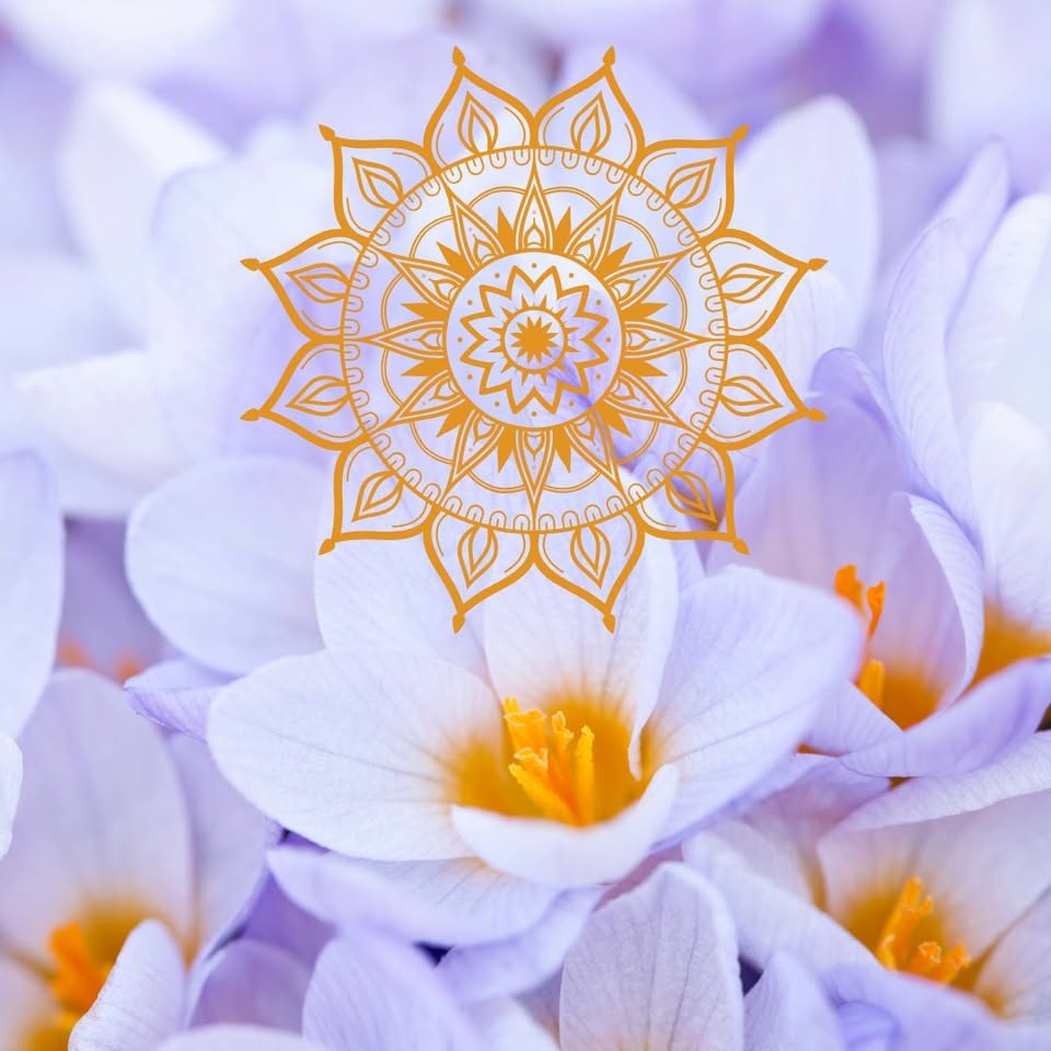 TKANIVO HOJNOSTI A VNITŘNÍHO ZRÁNÍ - meditace hojnosti s Xolotlem