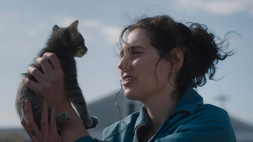 Letné kino na Amfiku: SORRY, BABY