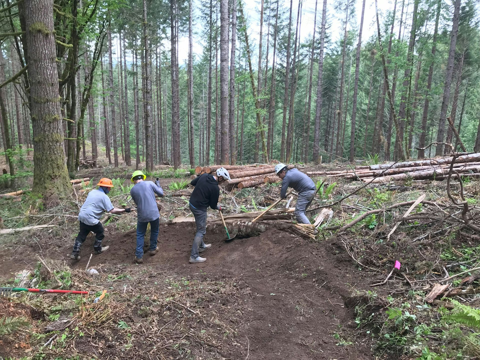 Stub Trail Restoration Day: 01/03