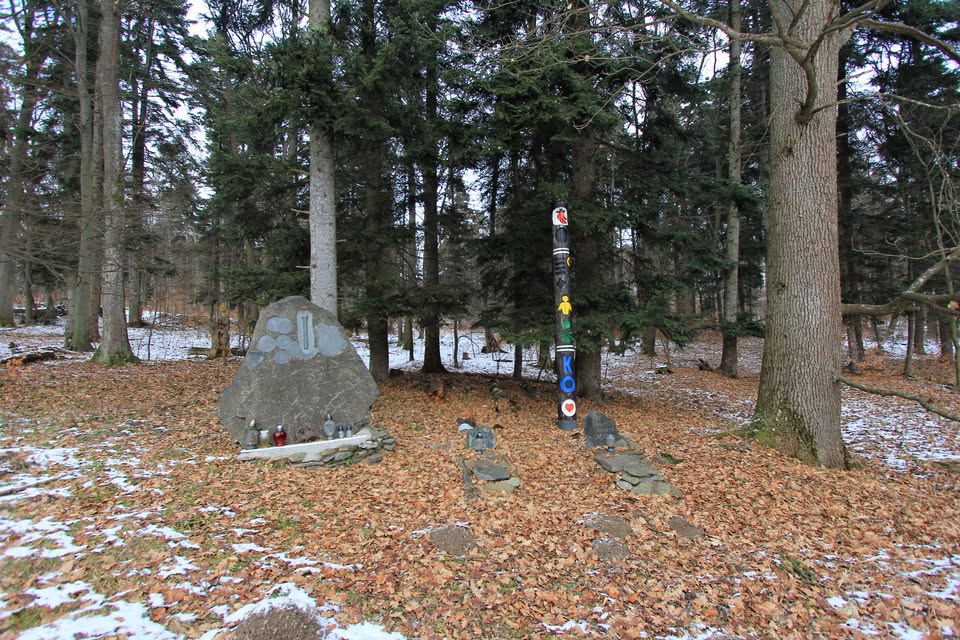 1.x Šírom-šárom s Vladom Šárom – potulka mestskými lesmi