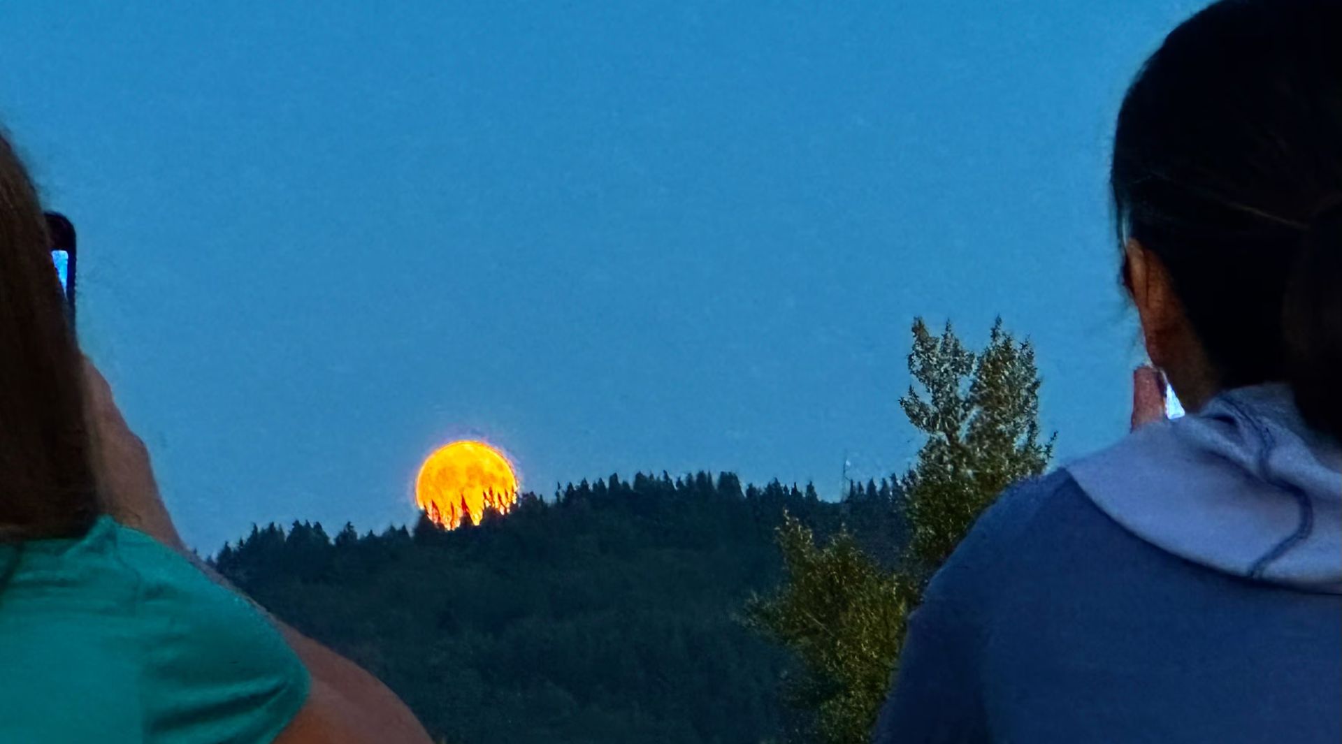 🌔Near Full Moon Hike @ Powell Butte 4-6m🌖