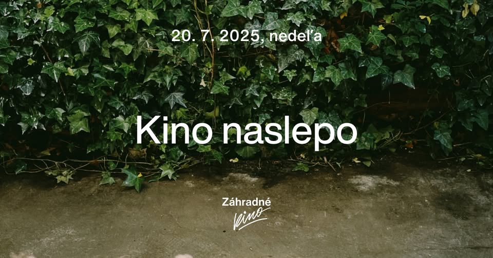Kino naslepo