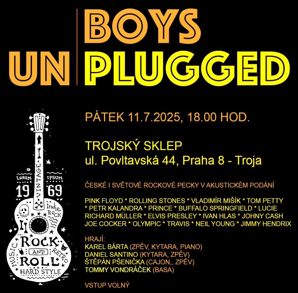 Koncert BOYS UNPLUGGED