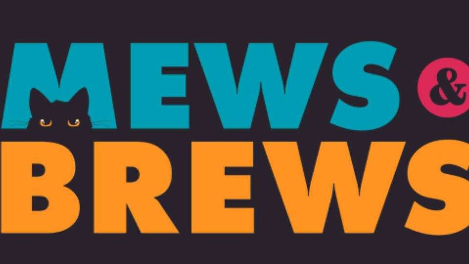 Mews & Brews at Level Beer