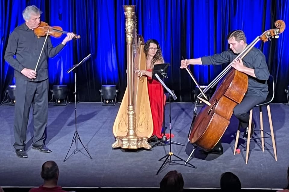 SLON V OPEŘE: TRIO - koncert komorní hudby
