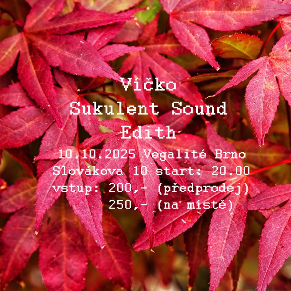 Lid & succulent Sound & Edith