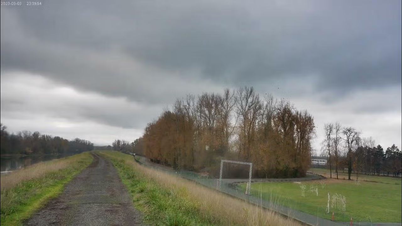 Slow and Easy Columbia Slough and Marine Drive Trail 7-mile Urban Hike/Walk