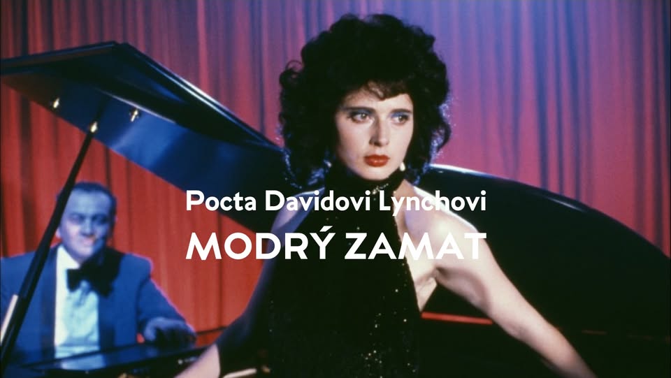 Pocta Davidovi Lynchovi: MODRÝ ZAMAT