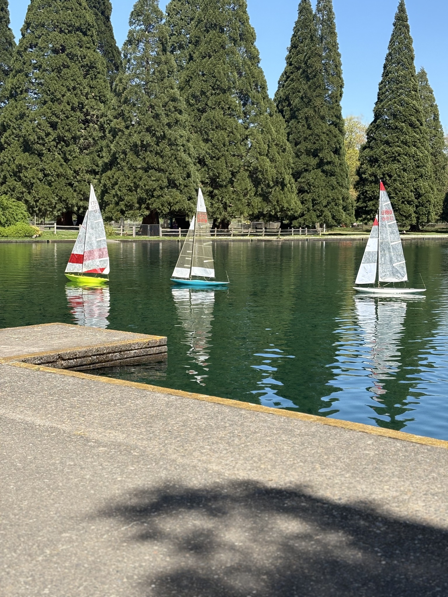 Fun Sail