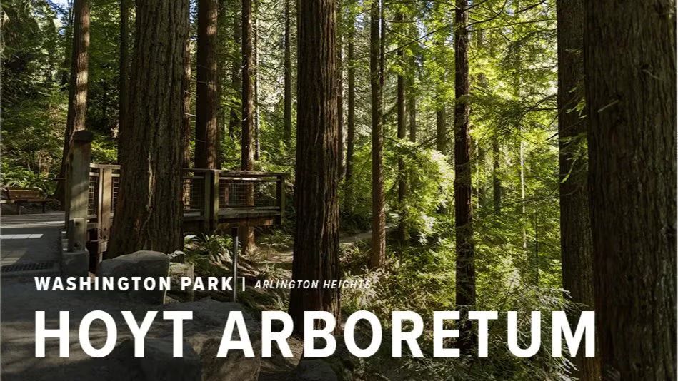 Hike at Hoyt Arboretum