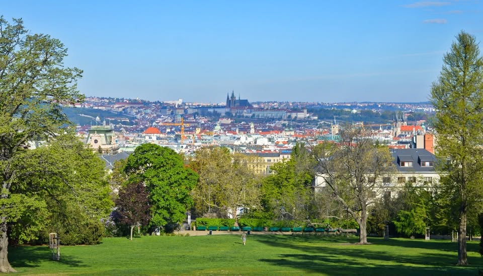 Kreslení v parku: Riegrovy sady