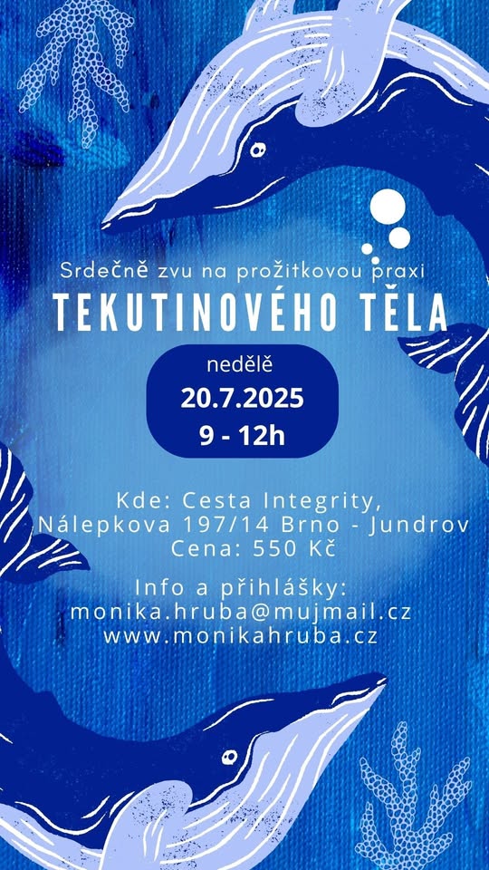 Tekutinové tělo LETNÍ DOPOLEDNE