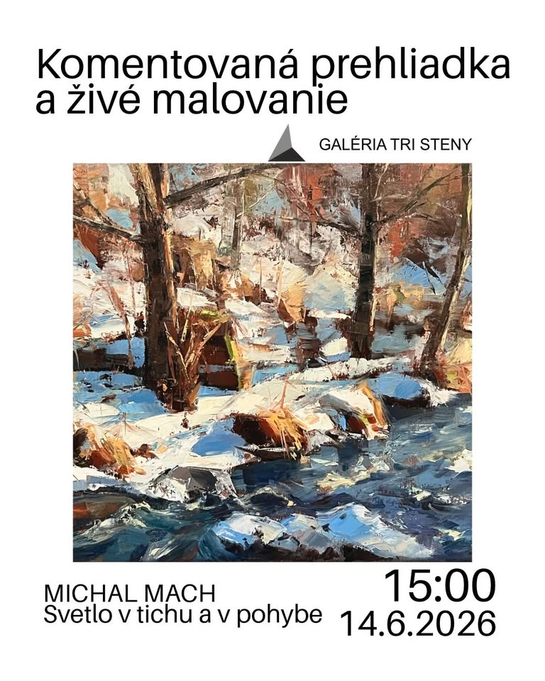 Komentovaná prehliadka a živé maľovanie - Michal Mach - Svetlo v tichu a v pohybe