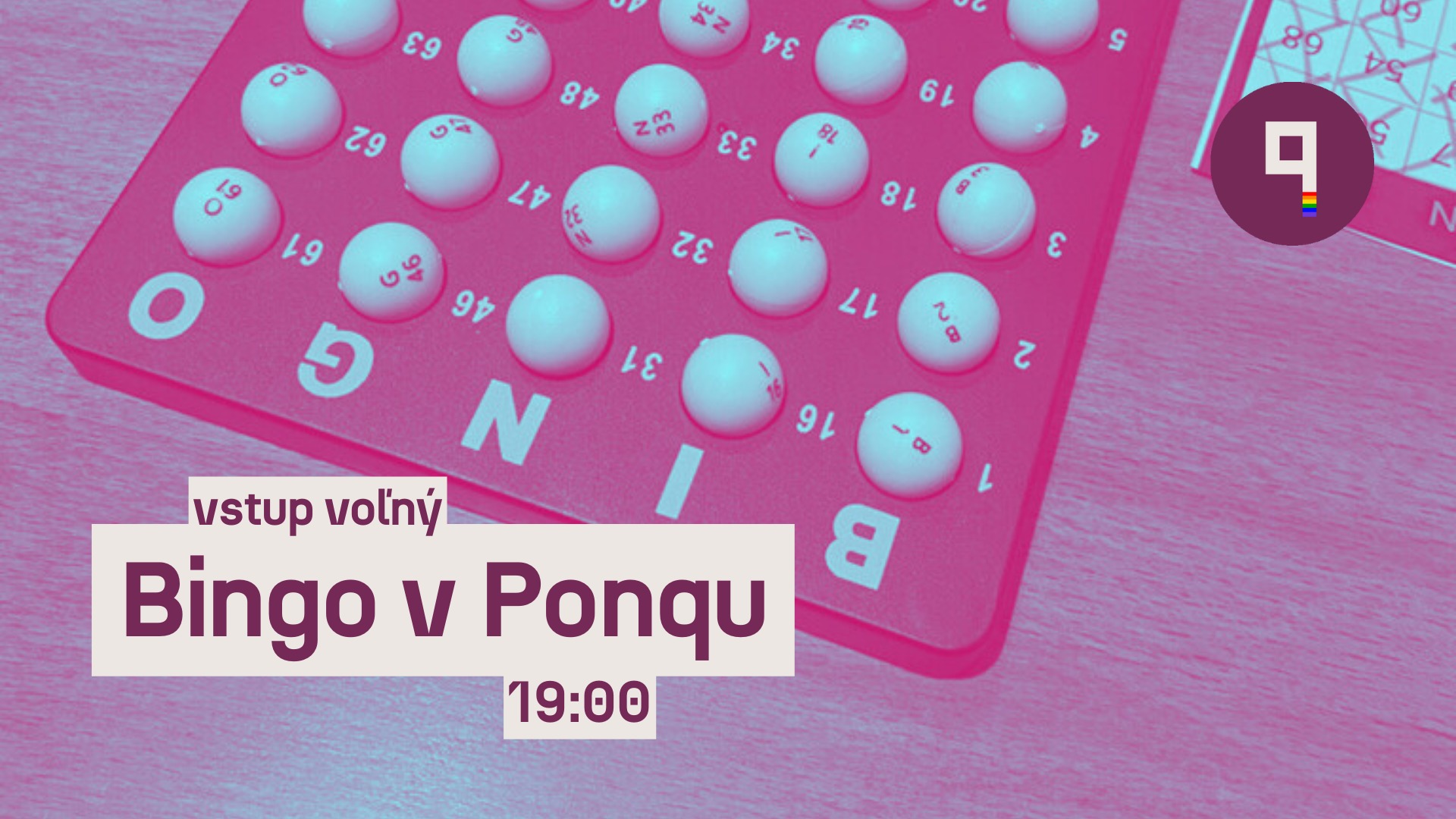 BINGO v Ponqu