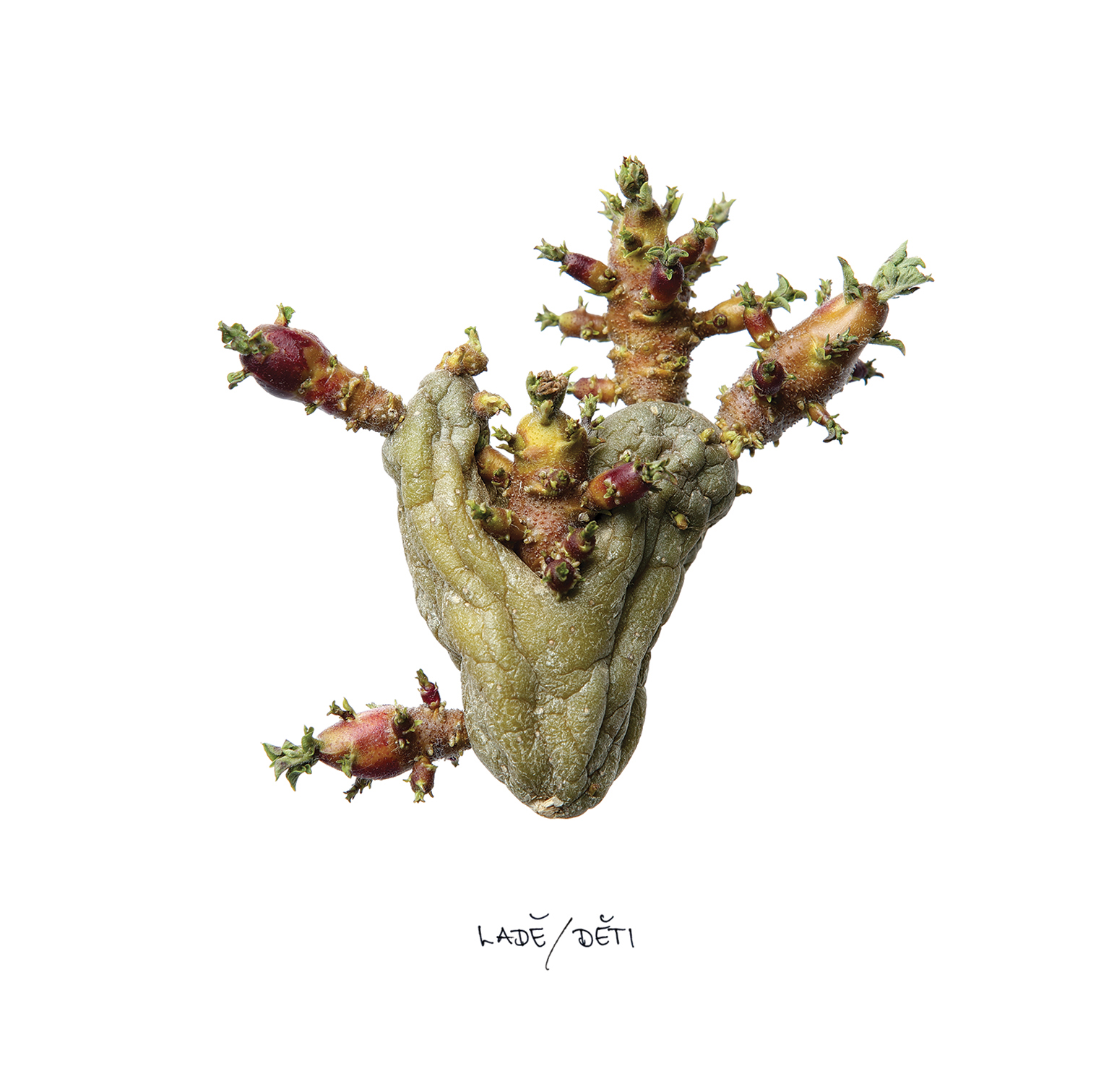 Ladě – brněnský křest alba Děti na Staré pekárně
