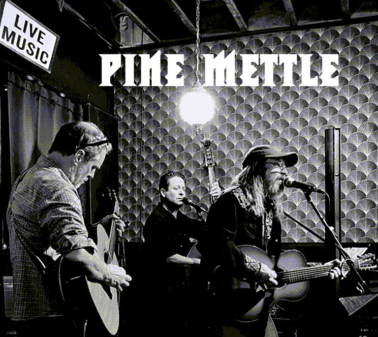 Pine Mettle at Havalina!