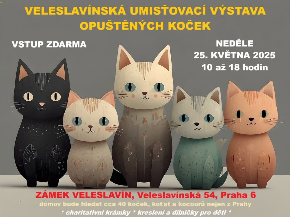 Veleslavínská umisťovací výstava opuštěných koček