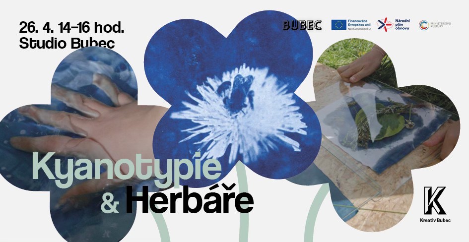 🌸 Kyanotypie a herbáře 🌸