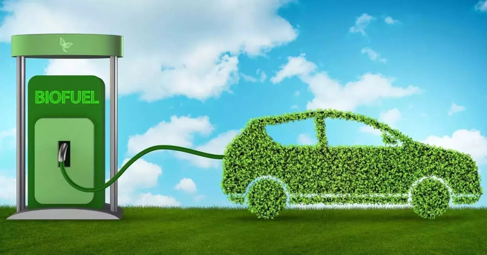 Euro-Global Summit on Biofuels and Bioenergy